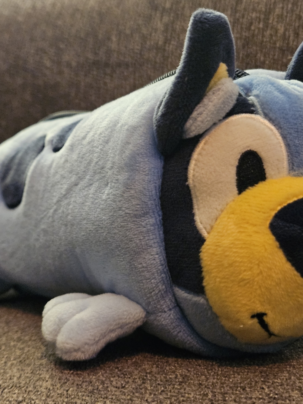 Plush Blue and Yellow Dog Chew Toy - Soft Squeaky Pet Toy